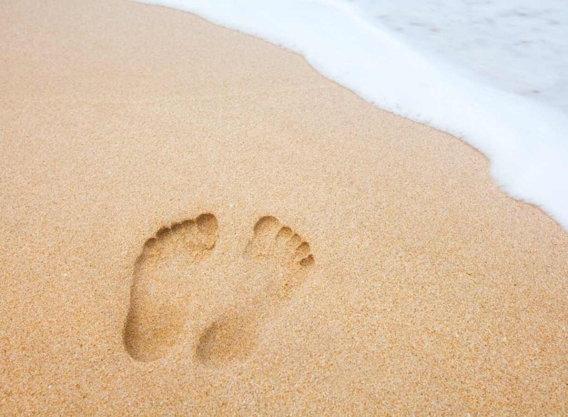 What Is Footprint + in Brighton 1