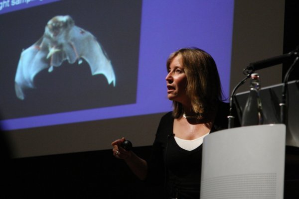 Dr Carol Williams, Bat Conservation Trust